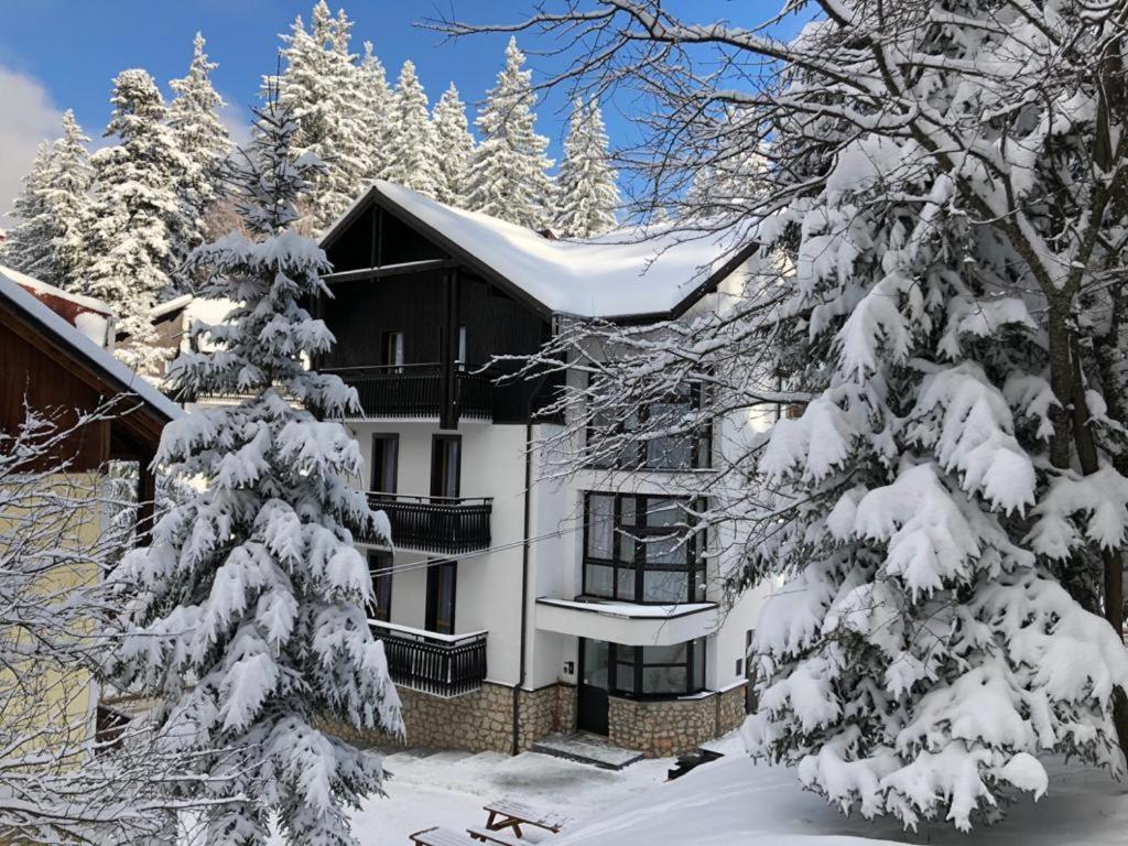 Montana Residence Poiana Brasov Εξωτερικό φωτογραφία